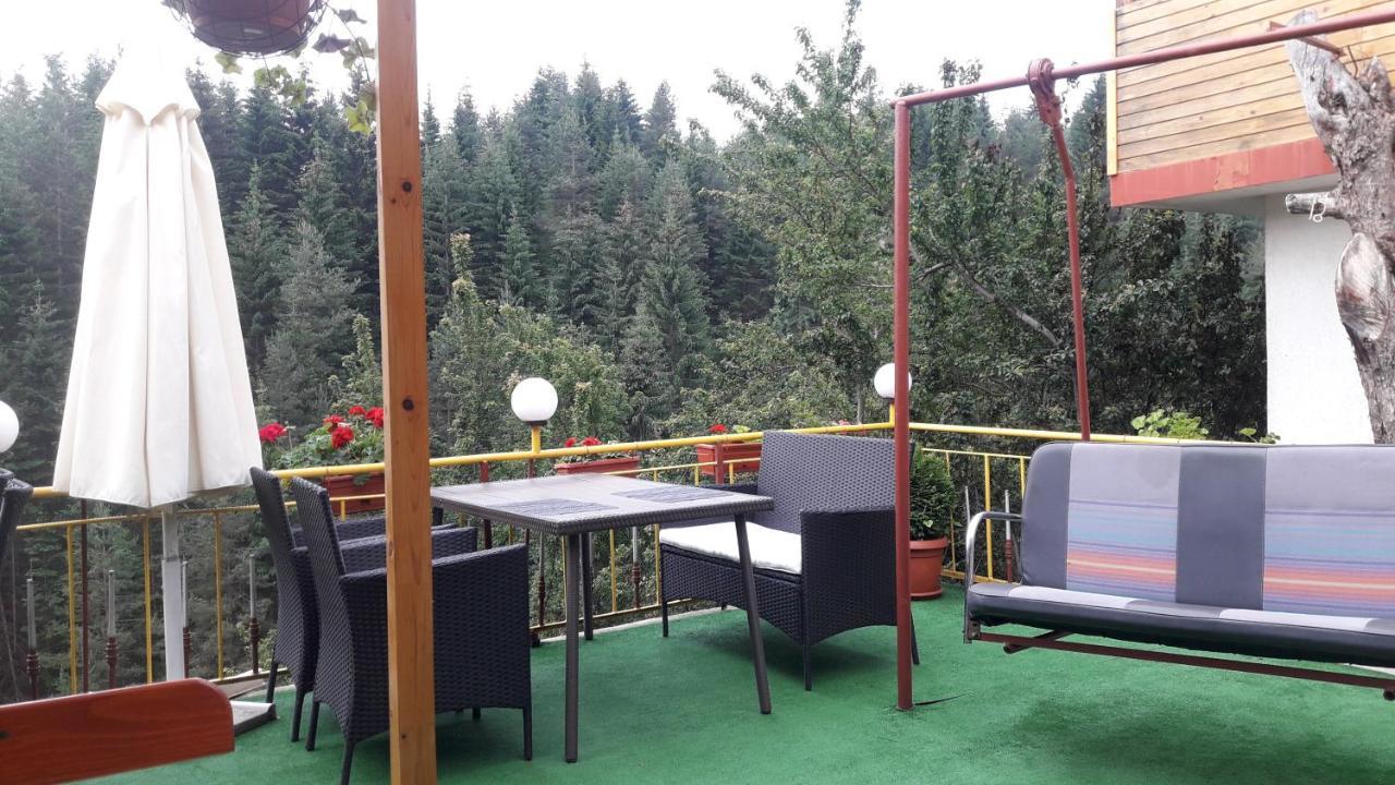 Guest House Stoletnika ยาโกดินา ภายนอก รูปภาพ