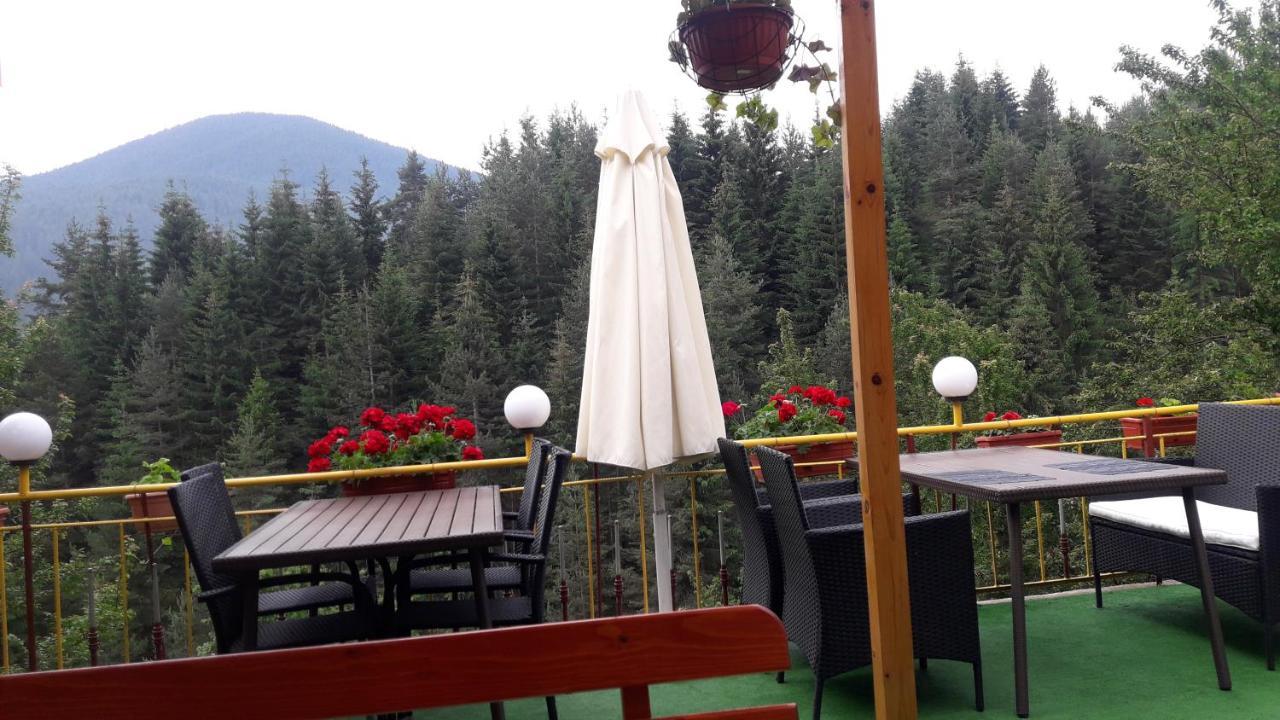 Guest House Stoletnika ยาโกดินา ภายนอก รูปภาพ