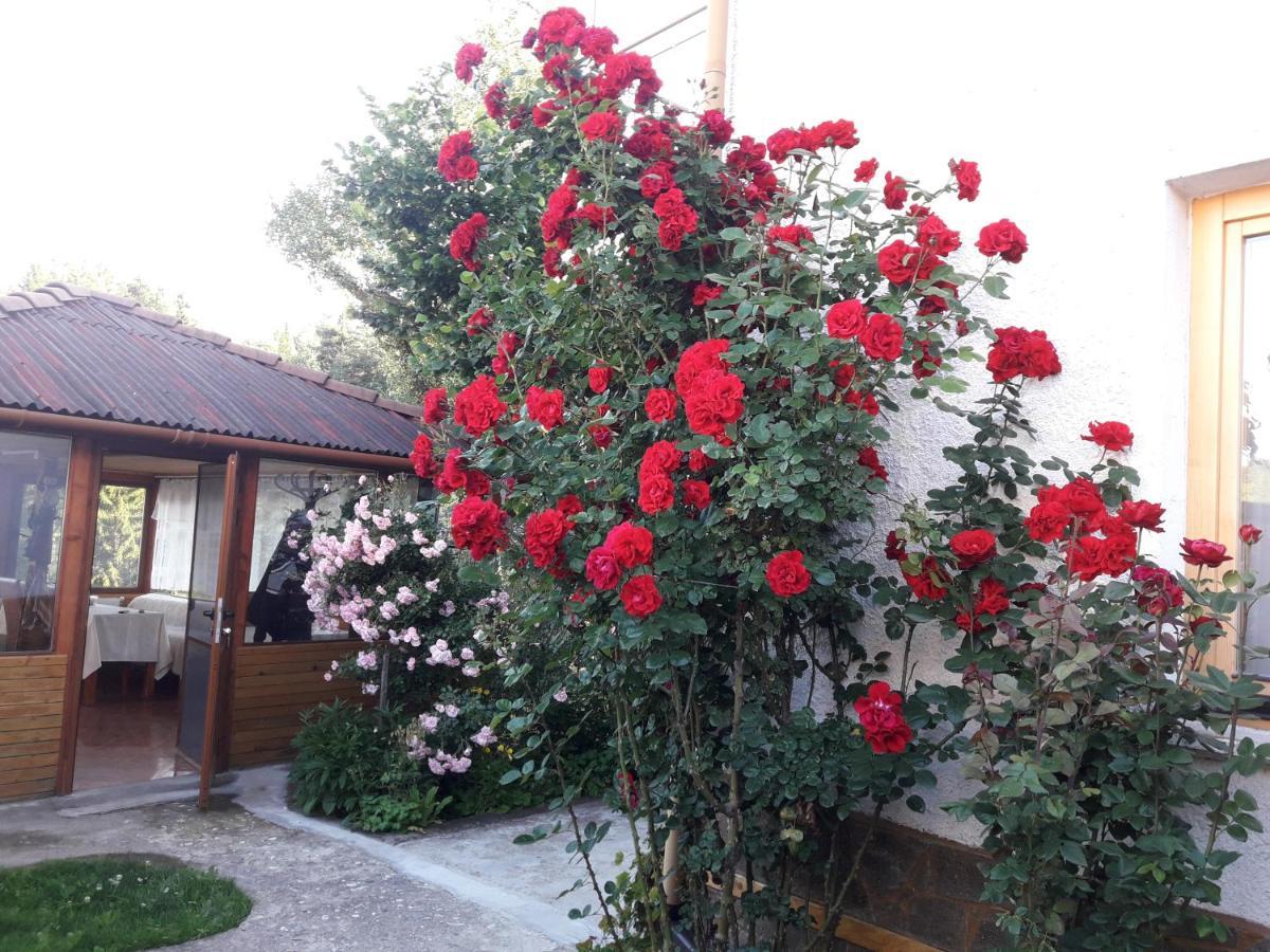 Guest House Stoletnika ยาโกดินา ภายนอก รูปภาพ