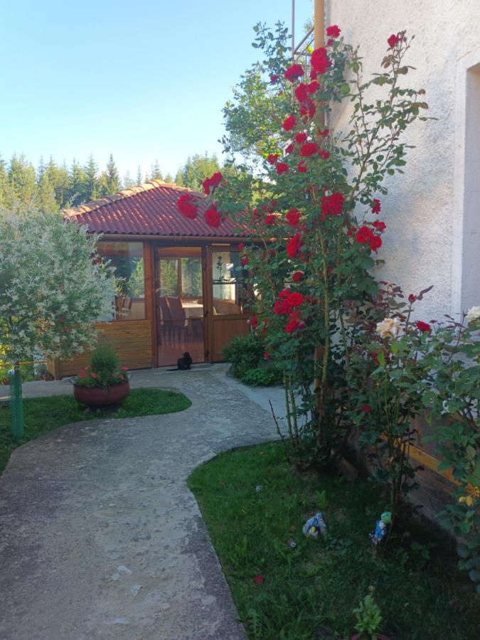 Guest House Stoletnika ยาโกดินา ภายนอก รูปภาพ