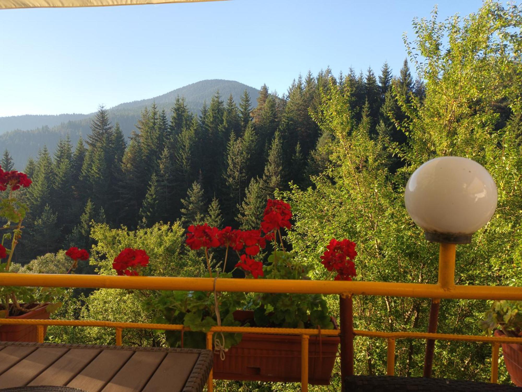 Guest House Stoletnika ยาโกดินา ภายนอก รูปภาพ