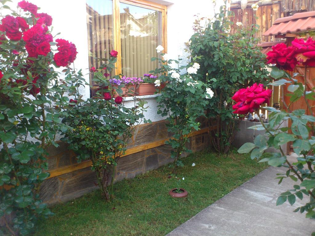 Guest House Stoletnika ยาโกดินา ภายนอก รูปภาพ
