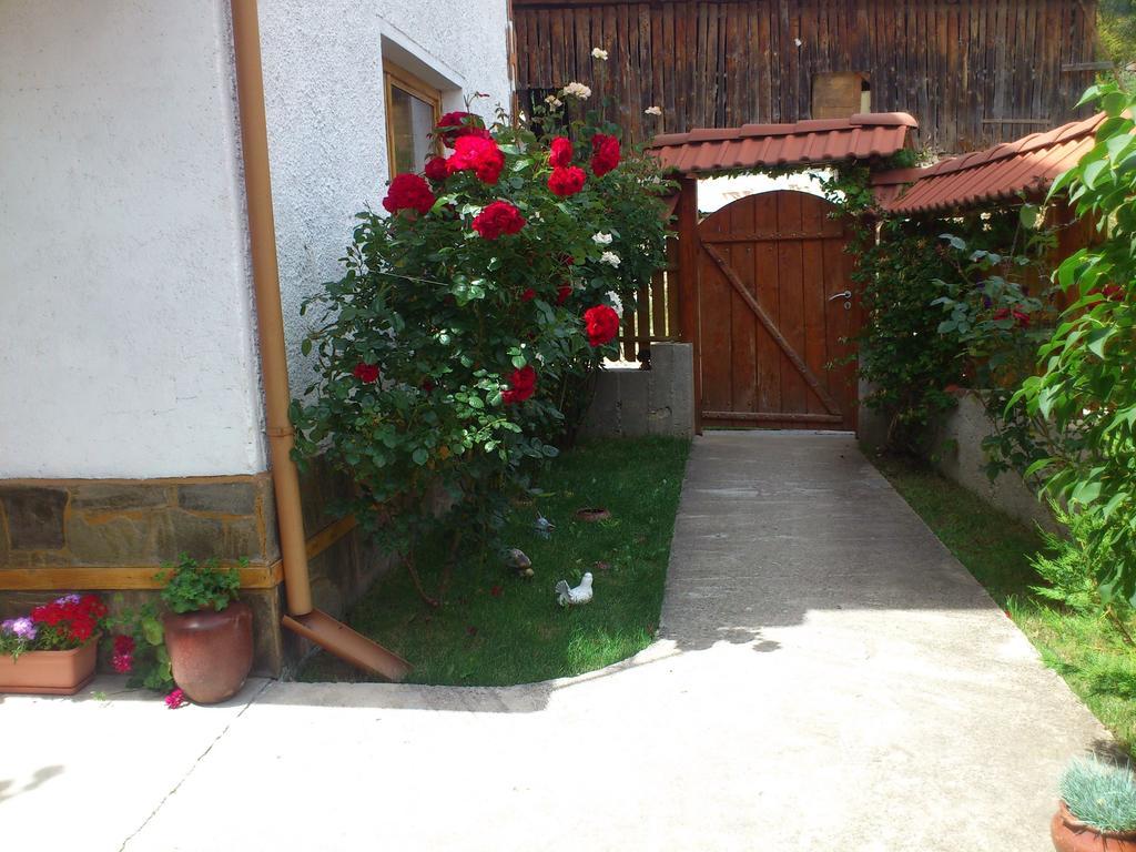 Guest House Stoletnika ยาโกดินา ภายนอก รูปภาพ