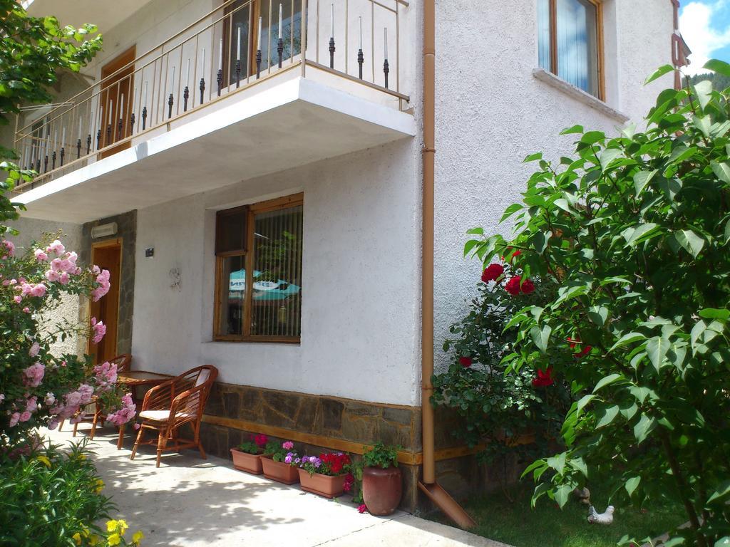 Guest House Stoletnika ยาโกดินา ภายนอก รูปภาพ