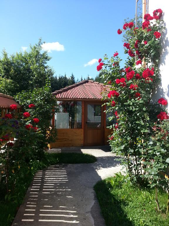 Guest House Stoletnika ยาโกดินา ภายนอก รูปภาพ